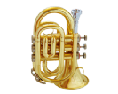 חצוצרה (GOLDEN CUP JHPT1406 Pocket trumpet(lacquer