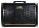 מגבר לגיטרה אקוסטית פיווי PEAVEY E208 20W 2*8