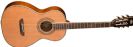 גיטרה אקוסטית וושבורן WASHBURN WP11SNS