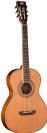 גיטרה אקוסטית מוגברת וושבורן WASHBURN WP11SENS
