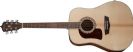 גיטרה אקוסטית וושבורן WASHBURN HD10SLH