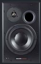 מוניטור 2way אולפני "10 עם זוג מגברי DYNAUDIO BM15A MOSFET