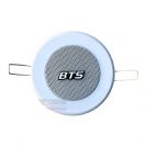 רמקול עילי BTS R3-6W "3