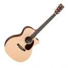 גיטרה אקוסטית מוגברת מרטין MARTIN GPCX1RAE ROSEWOOD