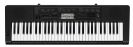 אורגנית קסיו CASIO CTK-3200
