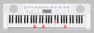 אורגן קסיו CASIO LK-247