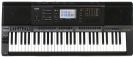אורגן קסיו CASIO MZ-X300