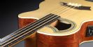 גיטרה בס אקוסטית 4 מיתרים פרטלס וורוויק WARWICK ALIEN STANDARD STAN4 FL