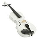 כינור 4/4 קומפלט VIVALDI VG105 white