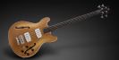 גיטרה בס וורוויק 4 WARWICK RB StarBass 4 GD FRETLESS