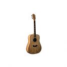 גיטרה אקוסטית וושבורן WASHBURN D49SP